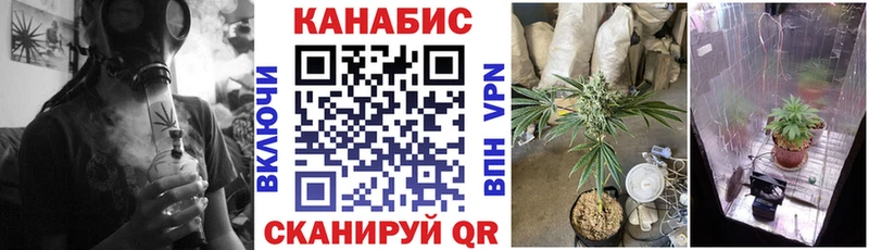 Купить наркотики Великий Новгород КОКАИН Марихуана