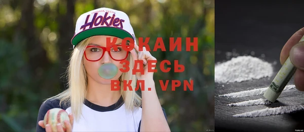 шишки Магадан