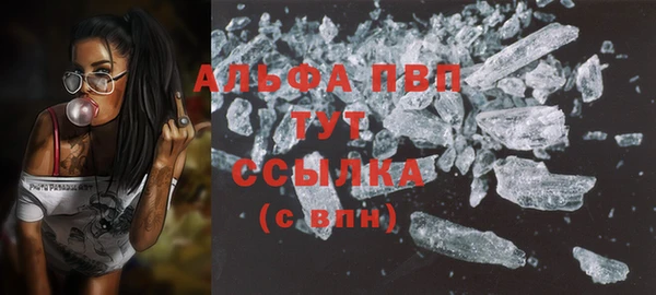шишки Магадан