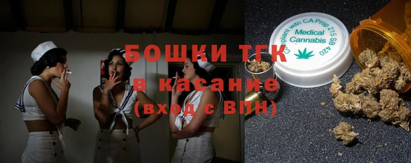 шишки Магадан